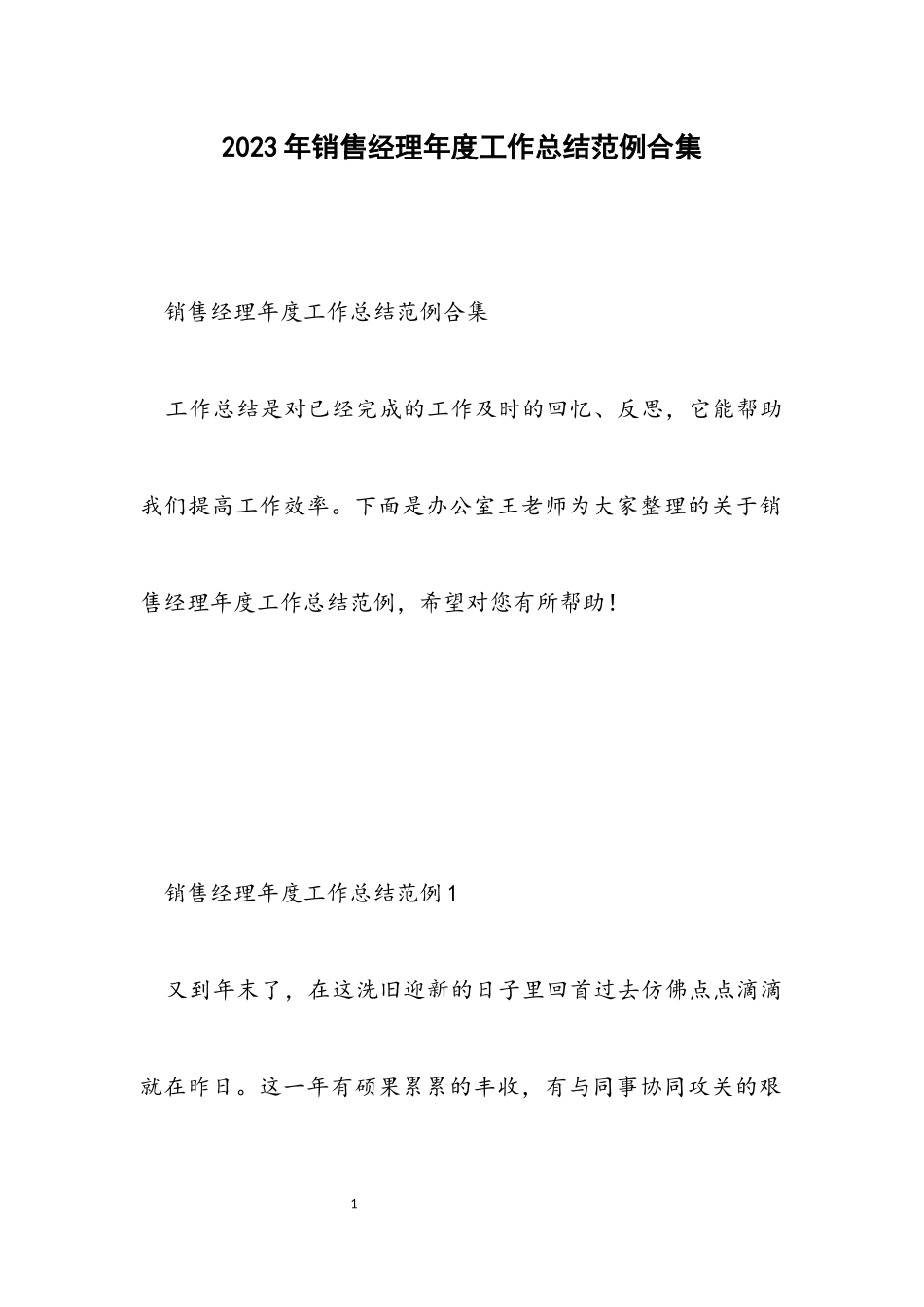 2023年销售经理年度工作总结范例.docx_第1页