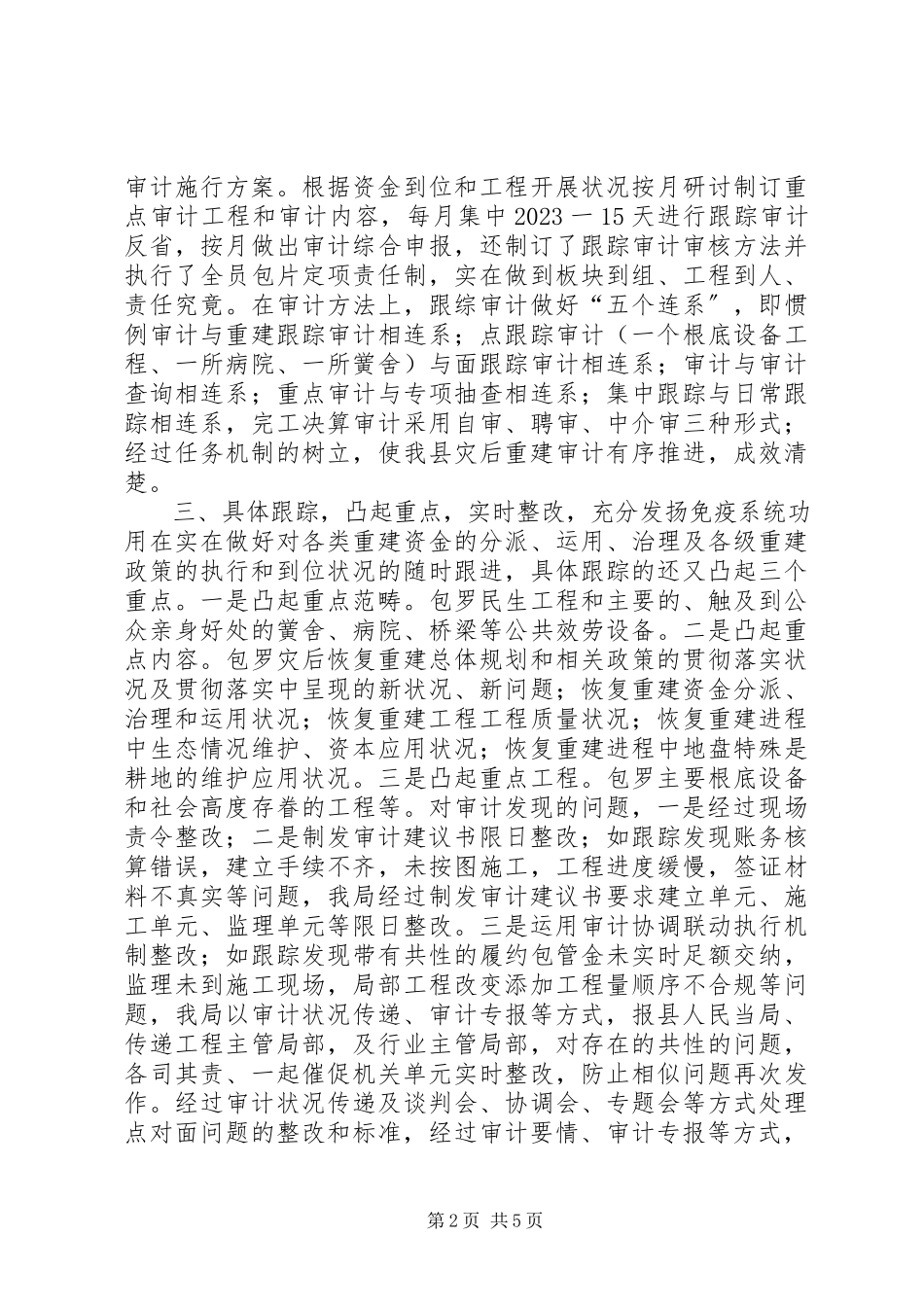 2023年审计创新实干经验交流材料.docx_第2页