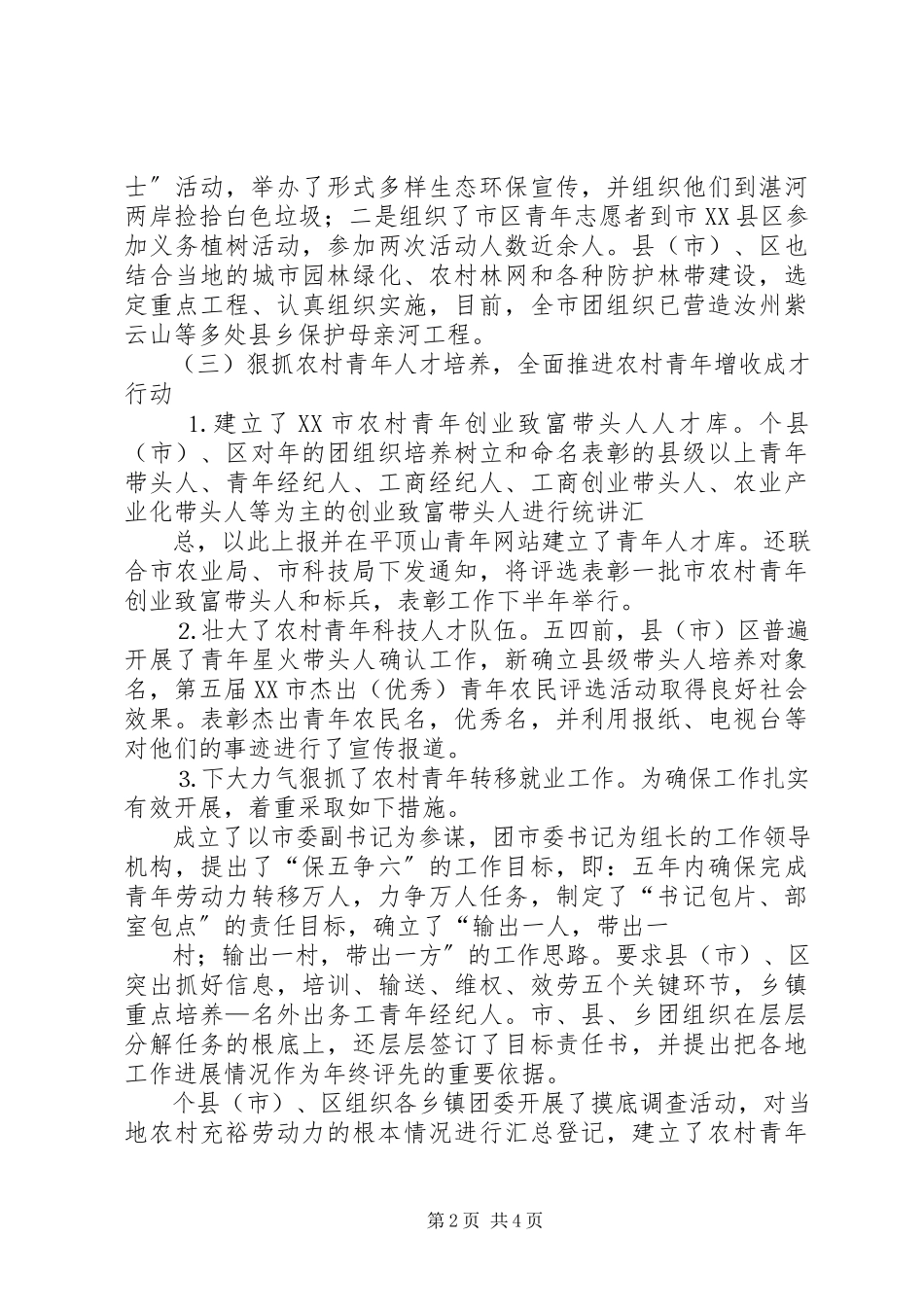 2023年南平团市委青农工作总结精选合集新编.docx_第2页