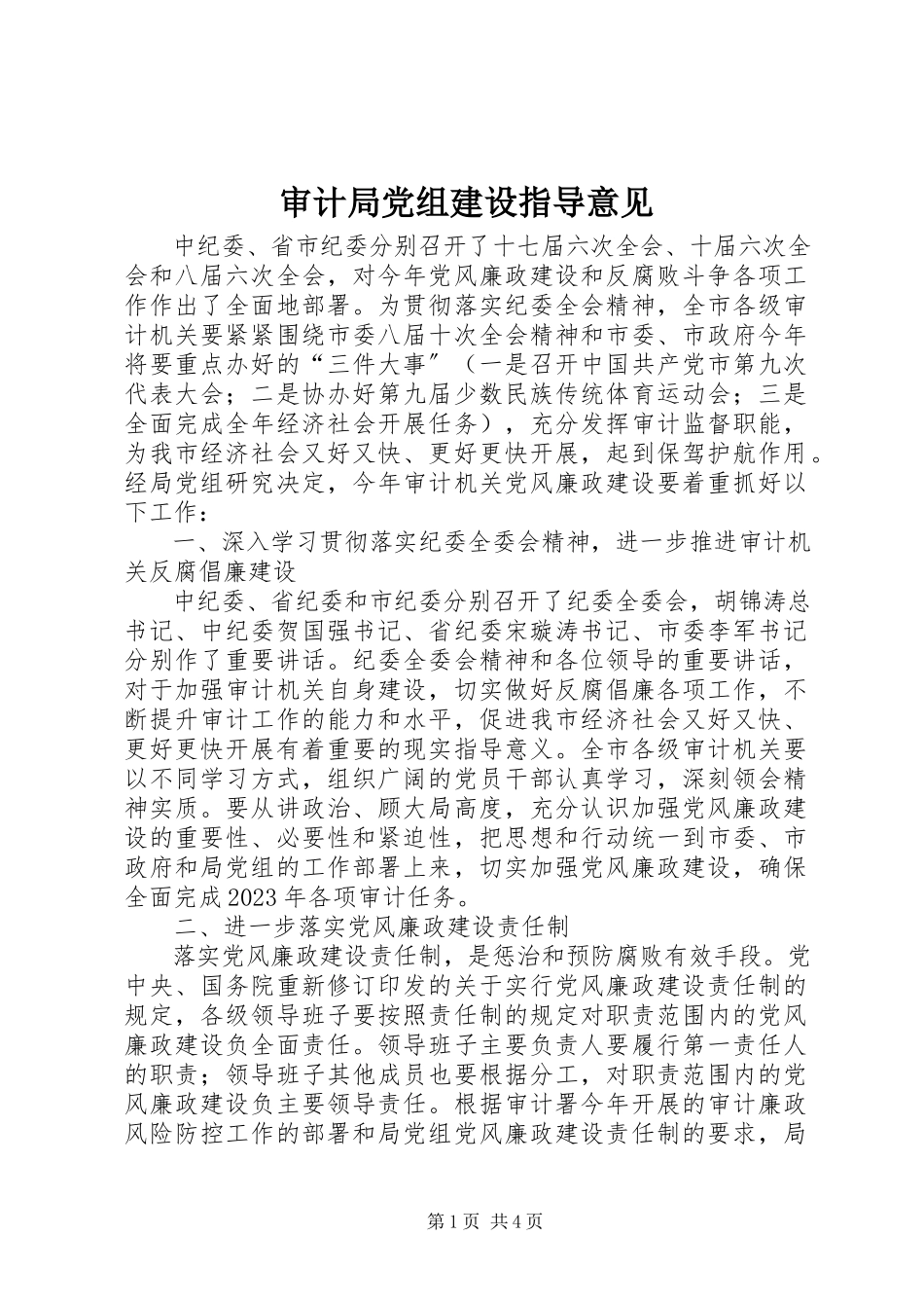 2023年审计局党组建设指导意见.docx_第1页