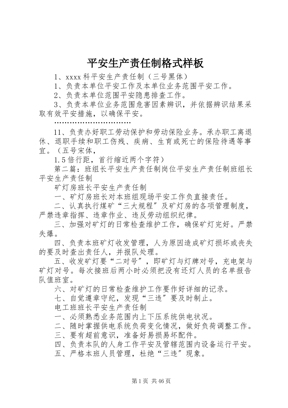 2023年安全生产责任制格式样板新编.docx_第1页