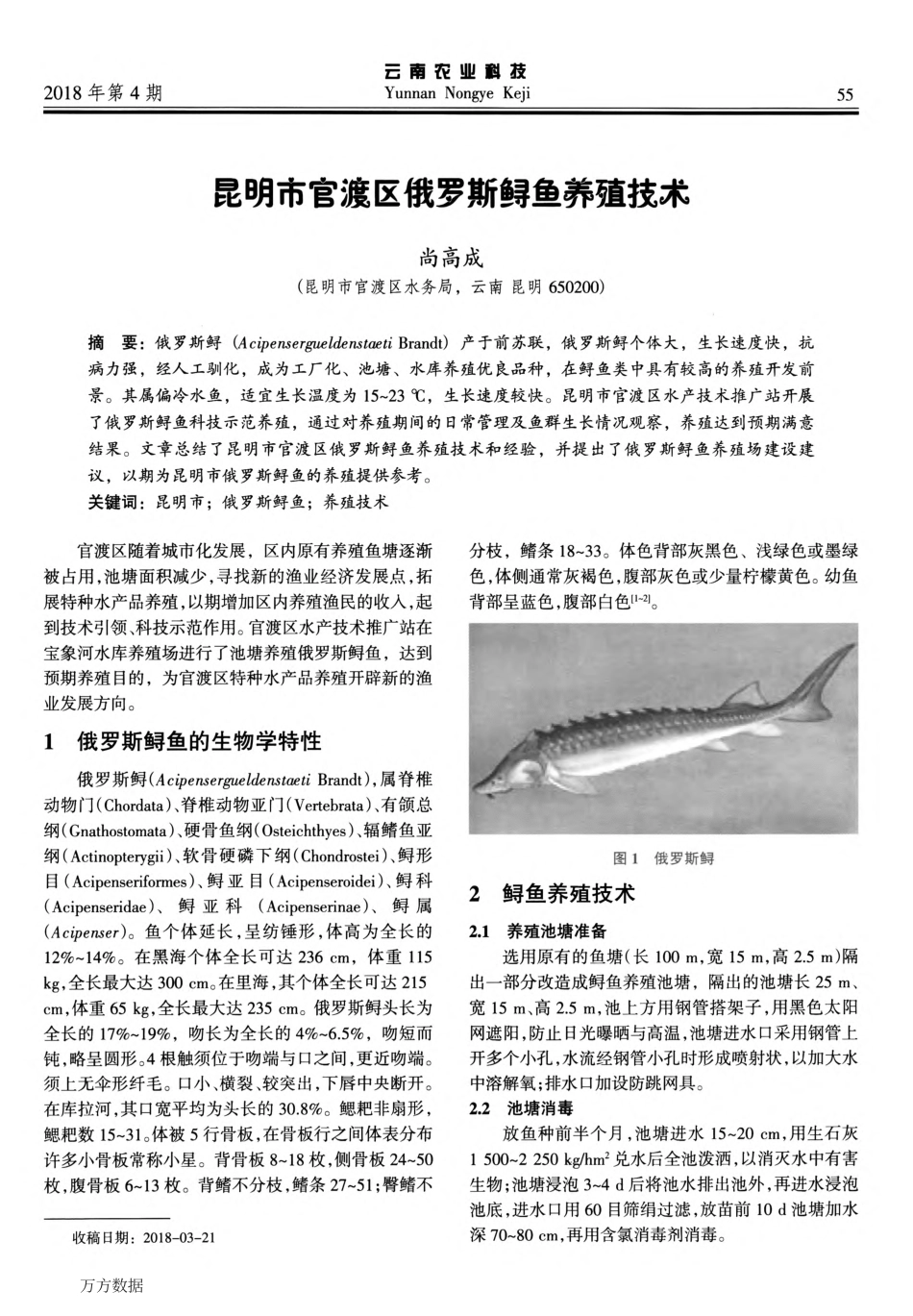244昆明市官渡区俄罗斯鲟鱼养殖技术.pdf_第1页