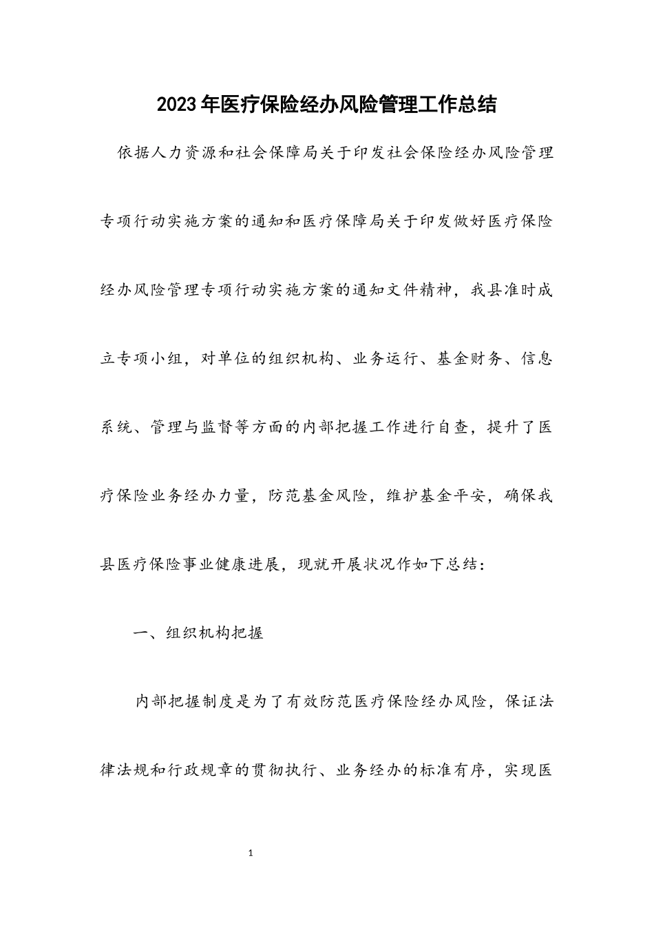2023年医疗保险经办风险管理工作总结.docx_第1页