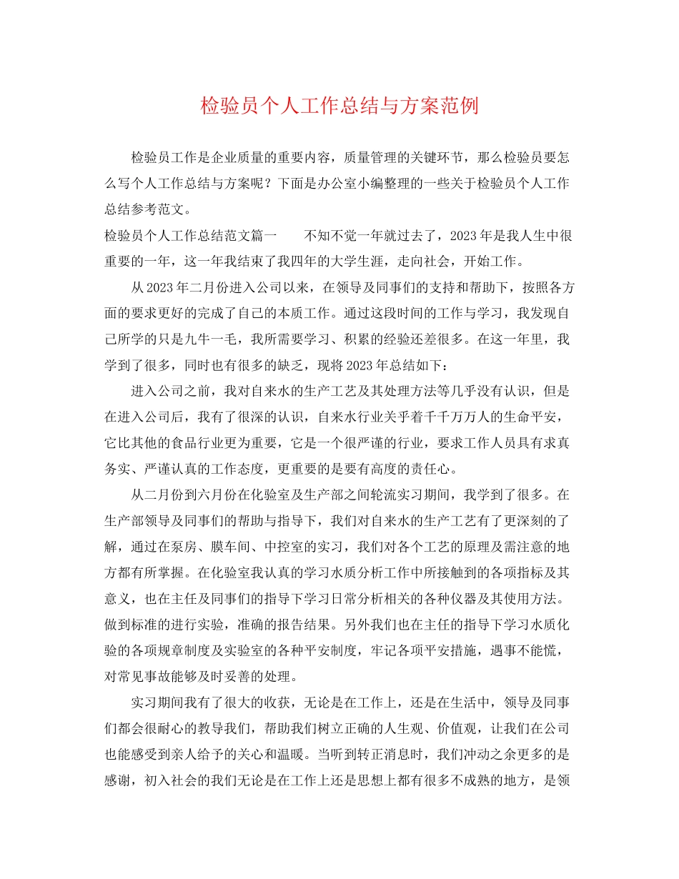 2023年检验员个人工作总结与计划范例.docx_第1页
