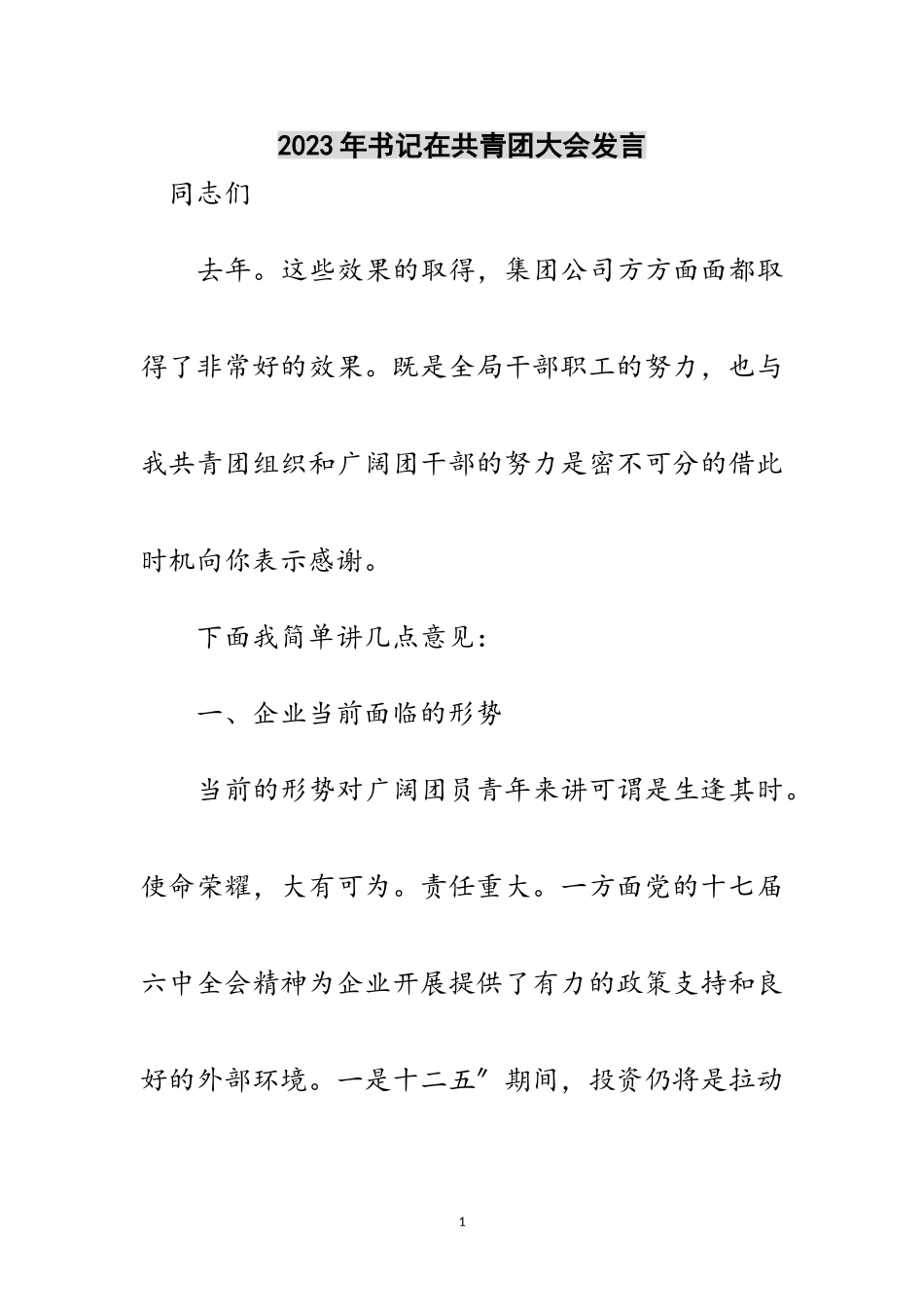 2023年年书记在共青团大会发言范文.doc_第1页