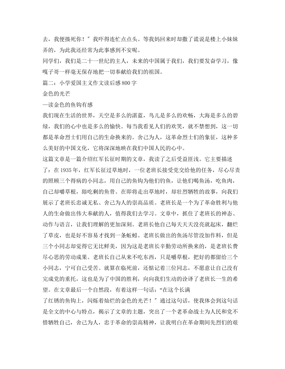 2023年爱国主义读后感300字.docx_第2页