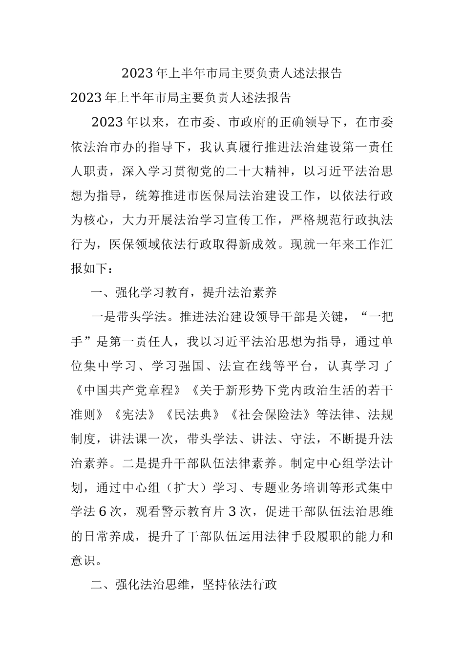 2023年上半年市局主要负责人述法报告.docx_第1页