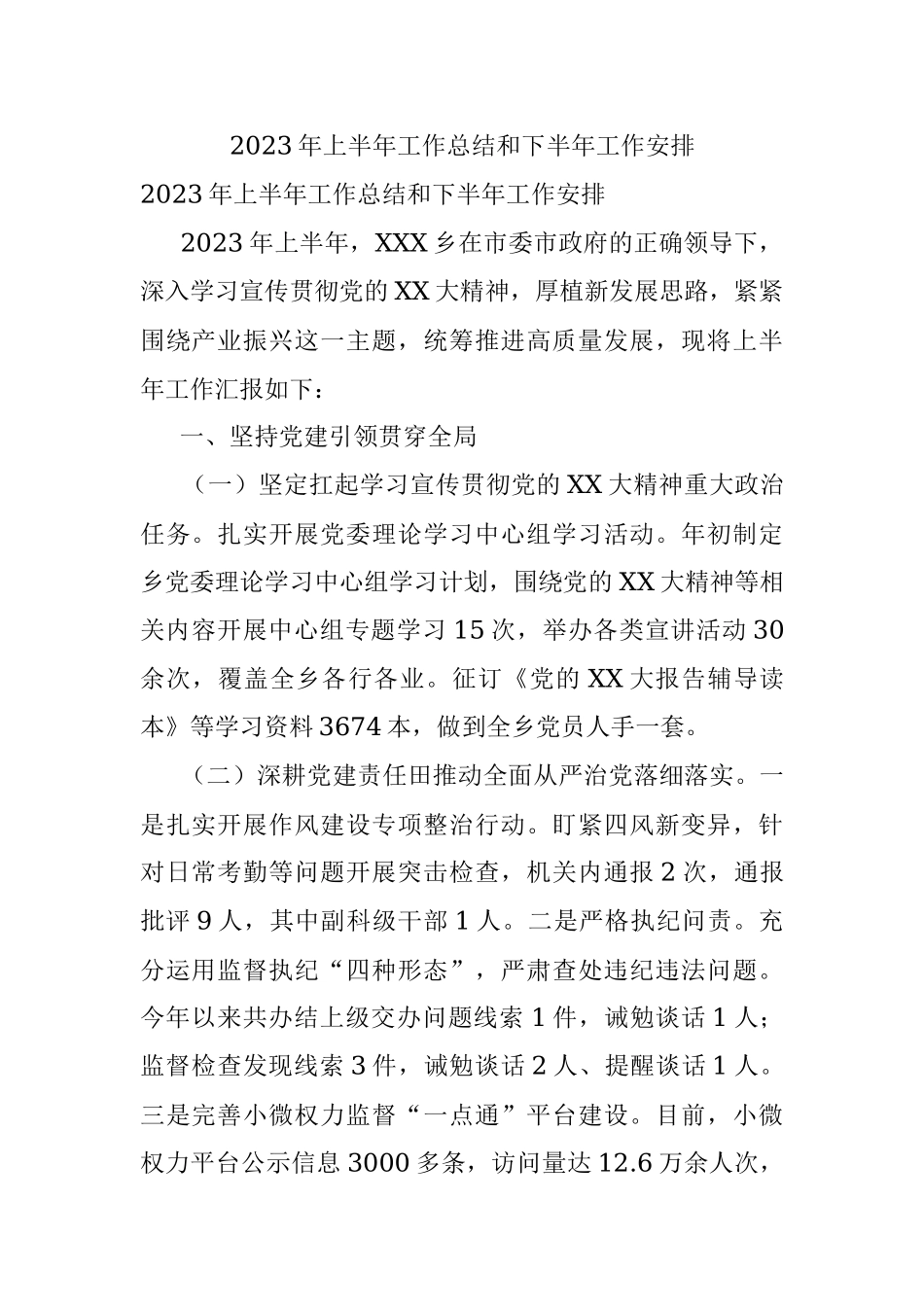 2023年上半年工作总结和下半年工作安排.docx_第1页