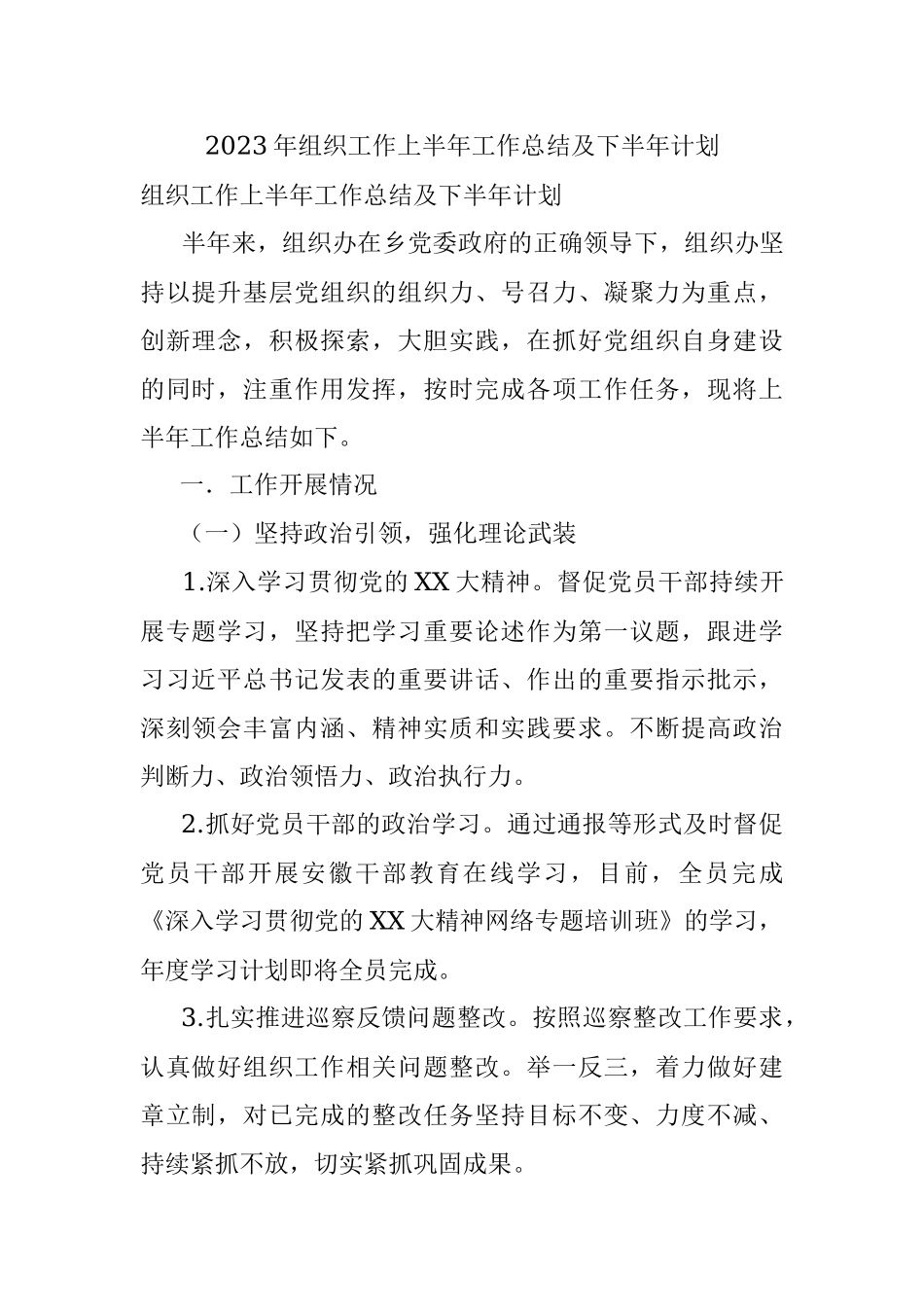 2023年组织工作上半年工作总结及下半年计划.docx_第1页