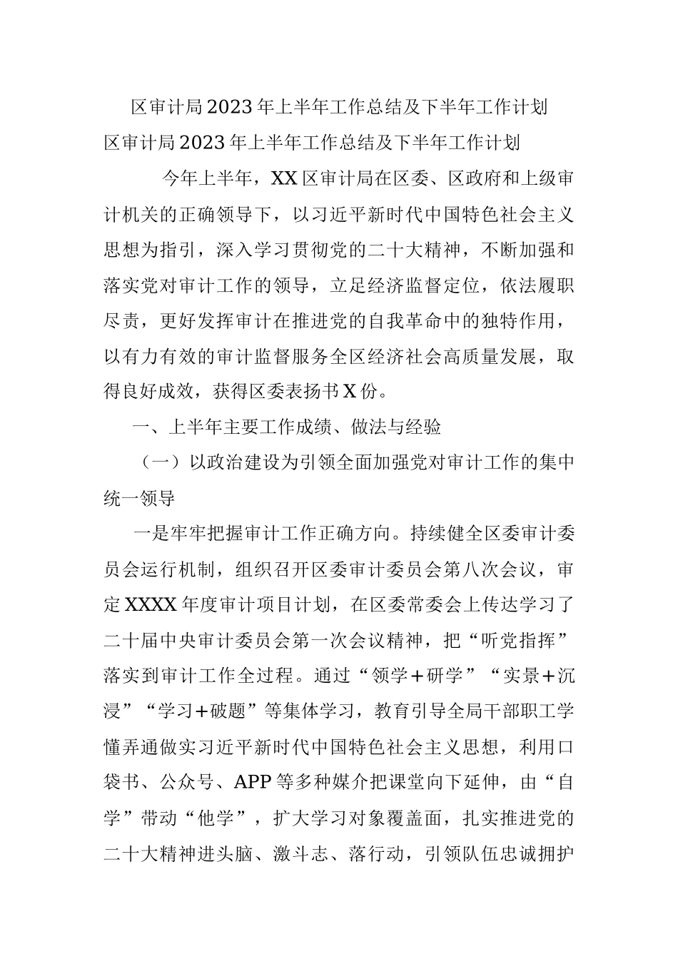 区审计局2023年上半年工作总结及下半年工作计划_1.docx_第1页