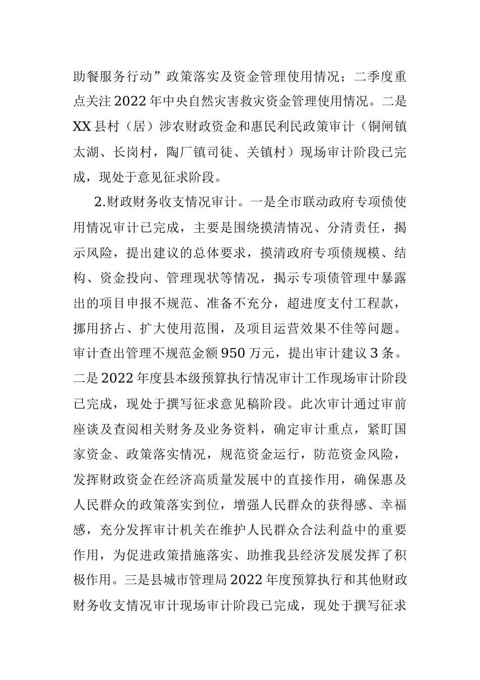 县审计局2023年上半年工作总结和下半年工作安排.docx_第2页
