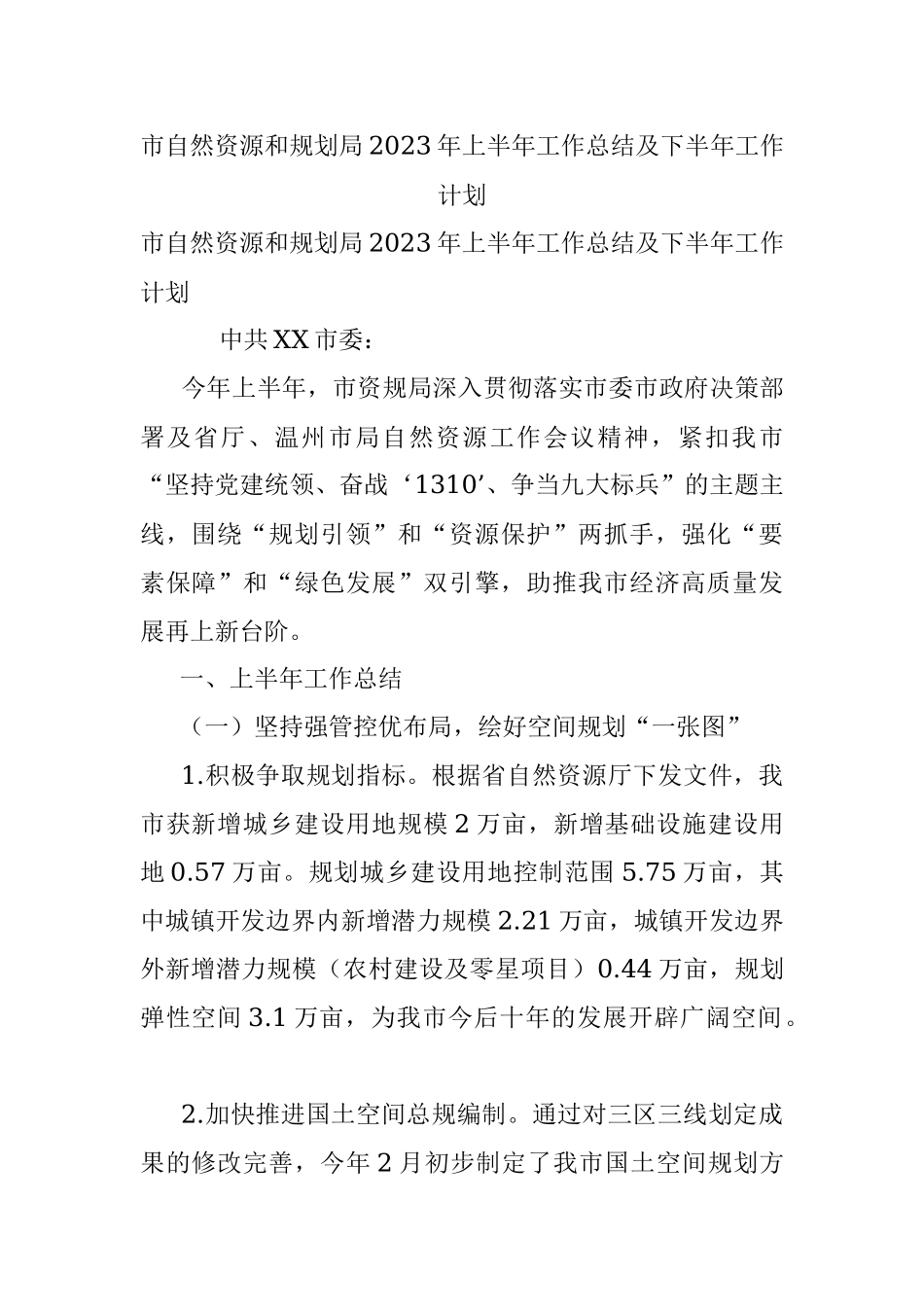 市自然资源和规划局2023年上半年工作总结及下半年工作计划.docx_第1页