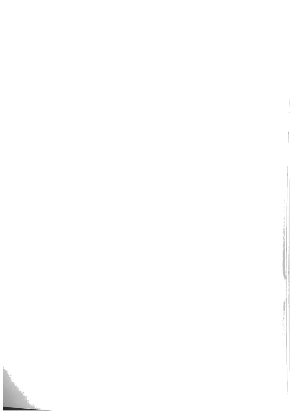 DB31T 1391-2022犬伤人事件防疫处置技术规范.pdf_第2页