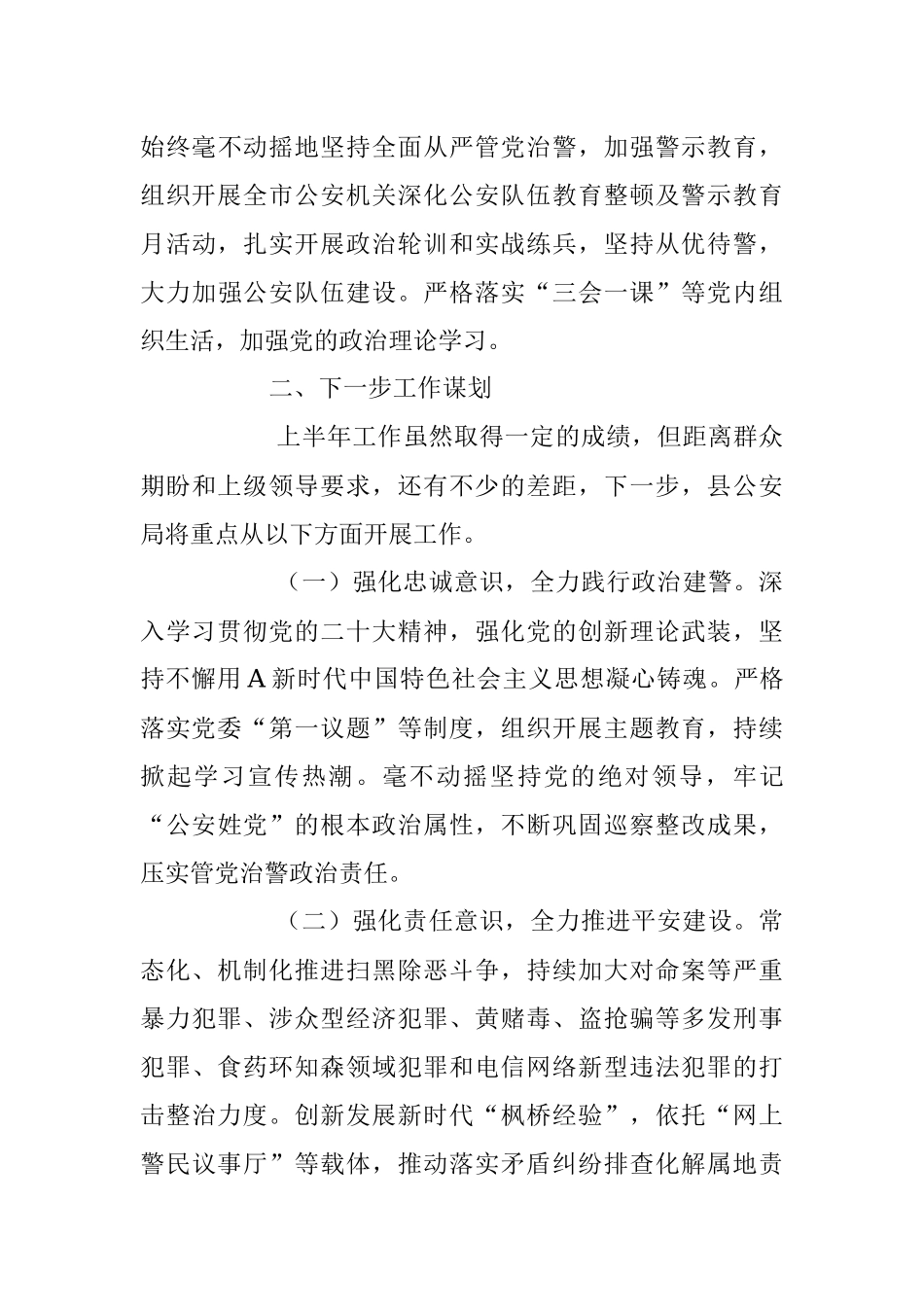 2023年XX县公安局上半年工作总结汇报.docx_第3页