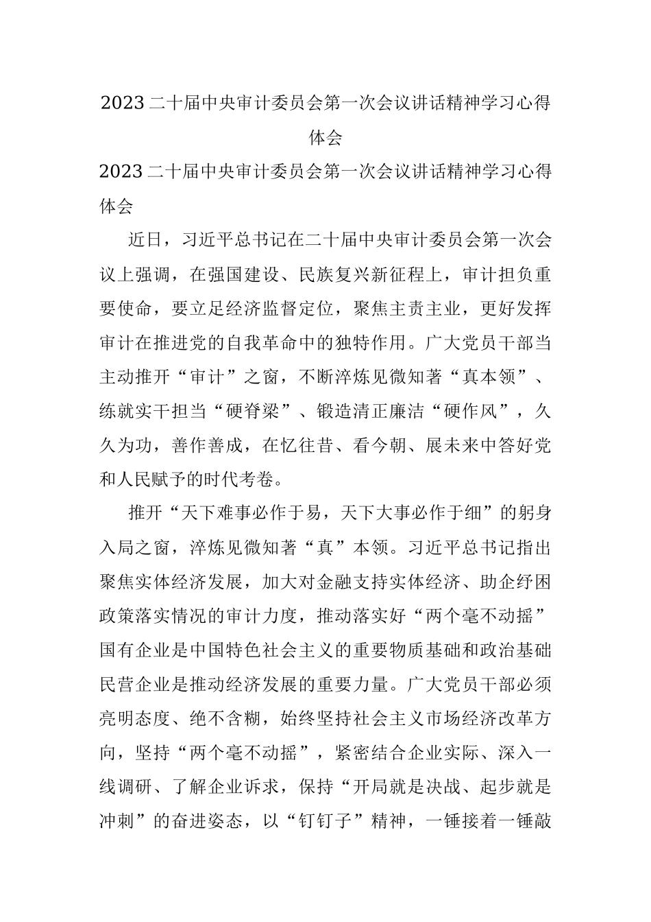 2023二十届中央审计委员会第一次会议讲话精神学习心得体会.docx_第1页