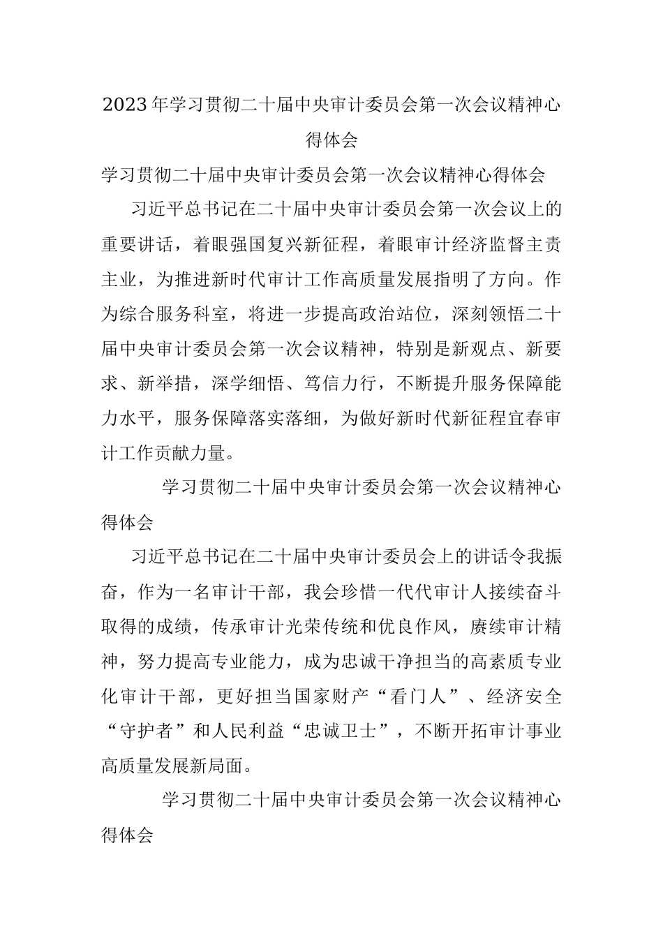 2023年学习贯彻二十届中央审计委员会第一次会议精神心得体会.docx_第1页