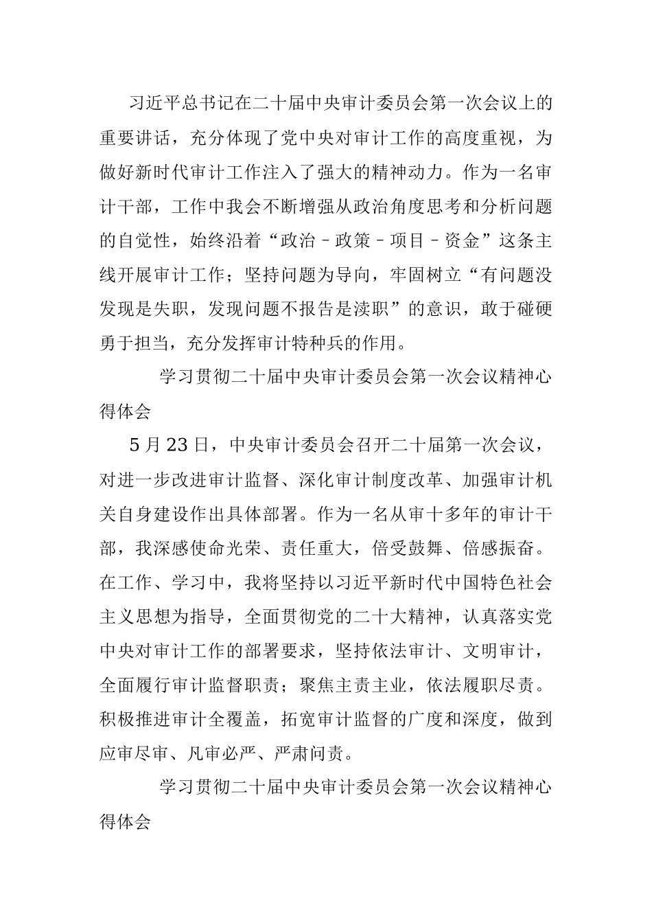 2023年学习贯彻二十届中央审计委员会第一次会议精神心得体会.docx_第2页