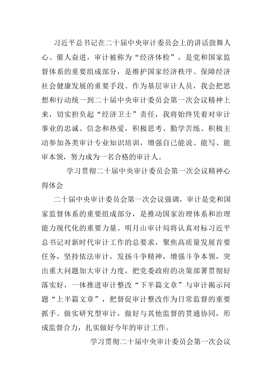 2023年学习贯彻二十届中央审计委员会第一次会议精神心得体会.docx_第3页