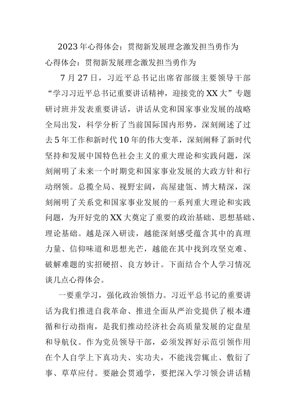 2023年心得体会：贯彻新发展理念激发担当勇作为.docx_第1页