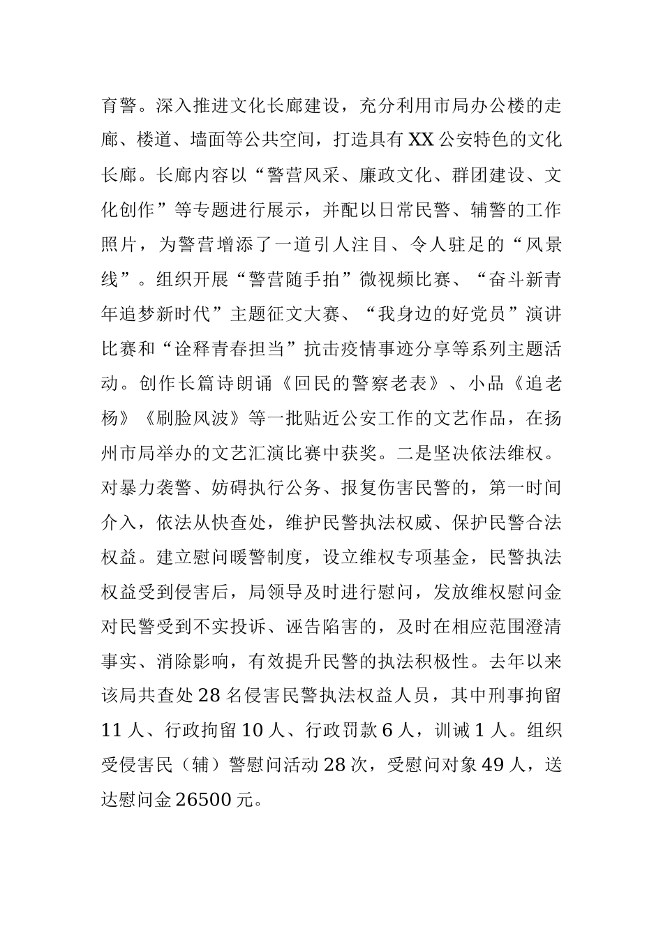 关于2023年公安机关的工作汇报.docx_第3页