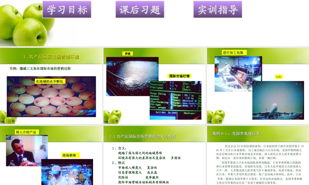 农产品国际市场营销.ppt