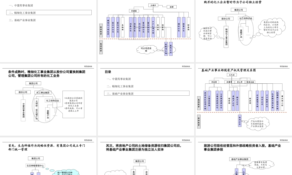 XX资源集团产业整合初步方案.ppt