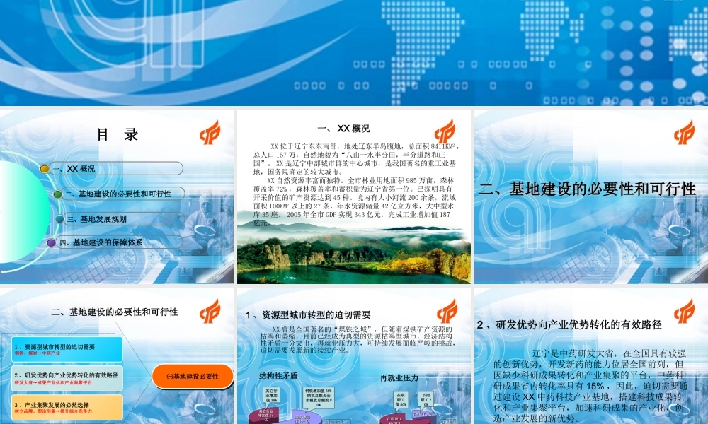 XX市申报国家火炬计划中药科技产业基地情况汇报.ppt