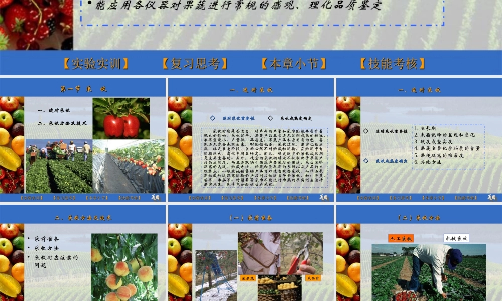 果蔬采后商品化处理与运输.ppt