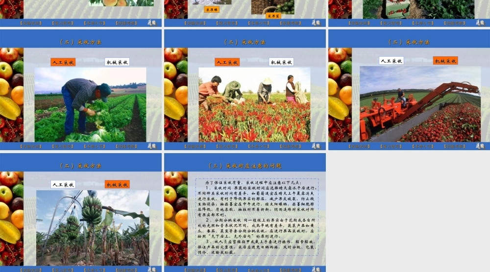 果蔬采后商品化处理与运输.ppt