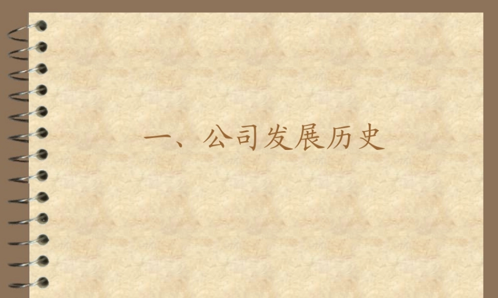 融资建议书.ppt