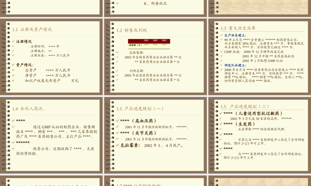 融资建议书.ppt