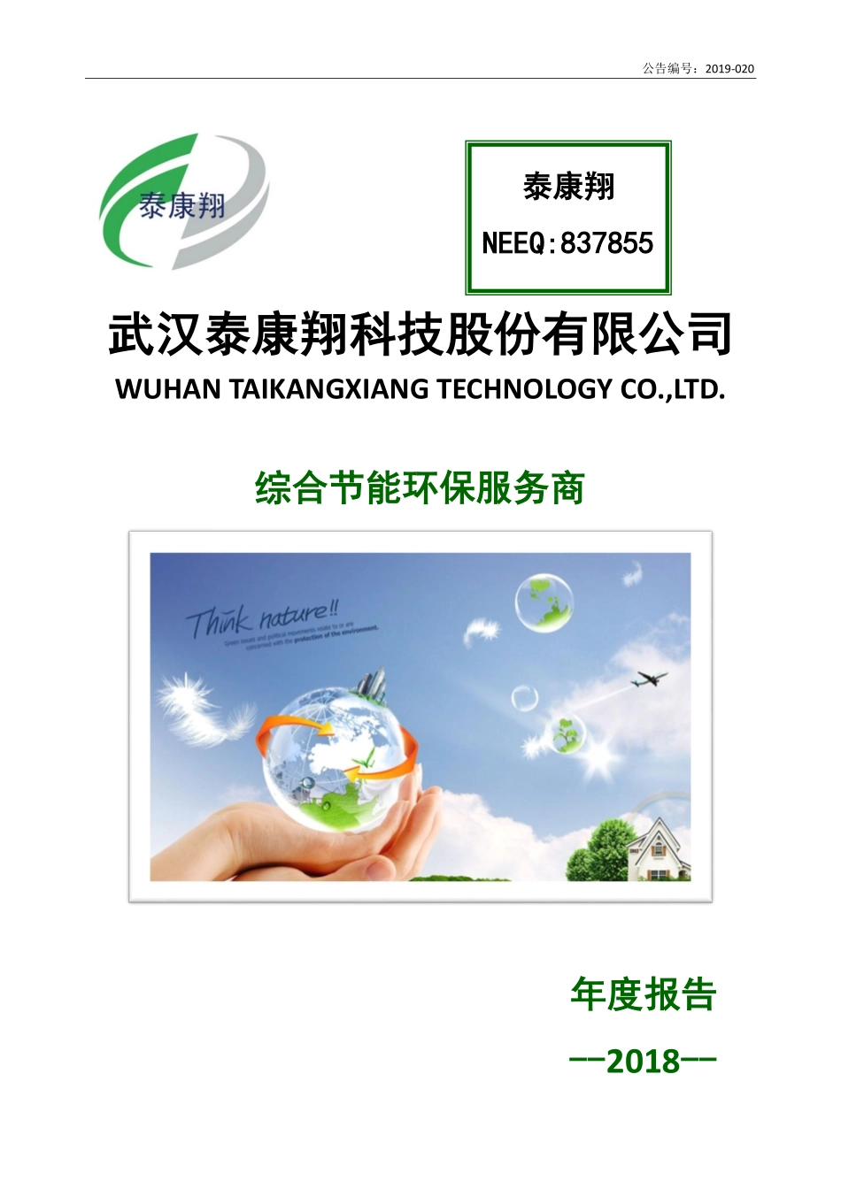837855_2018_泰康翔_2018年年度报告_2019-04-23.pdf_第1页