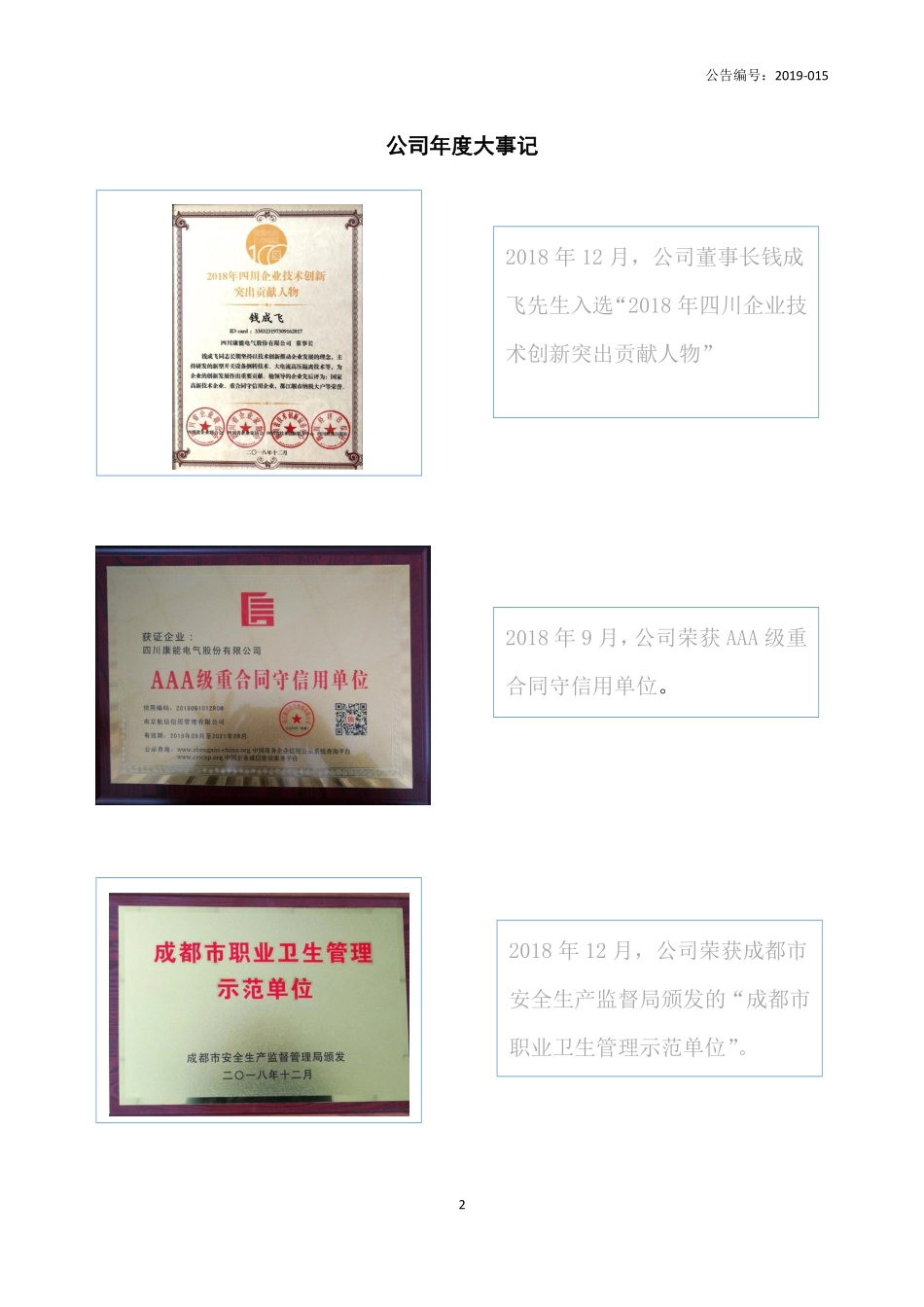 838133_2018_康能电气_2018年年度报告_2019-03-28.pdf_第2页