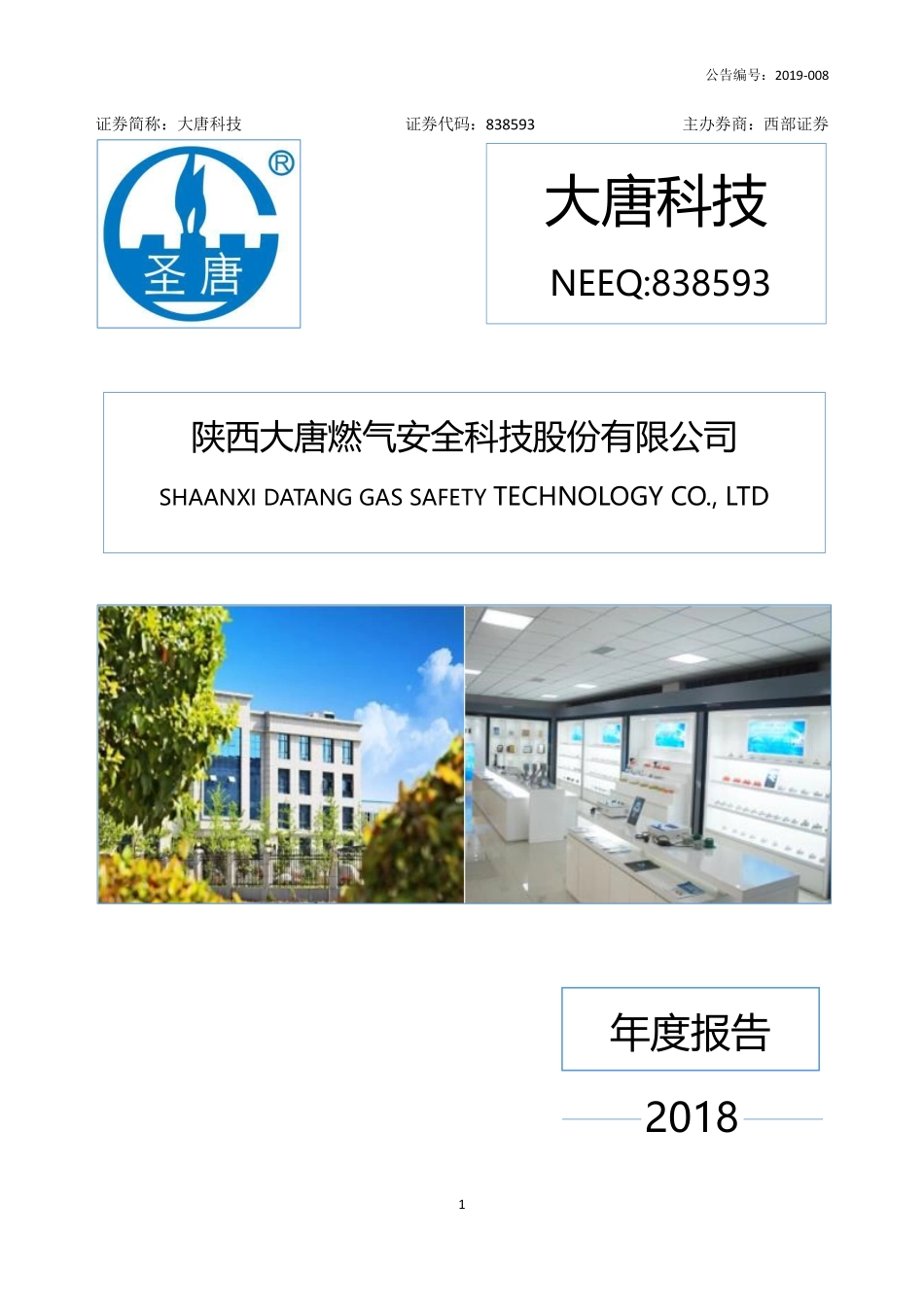 838593_2018_大唐科技_2018年年度报告_2019-04-22.pdf_第1页