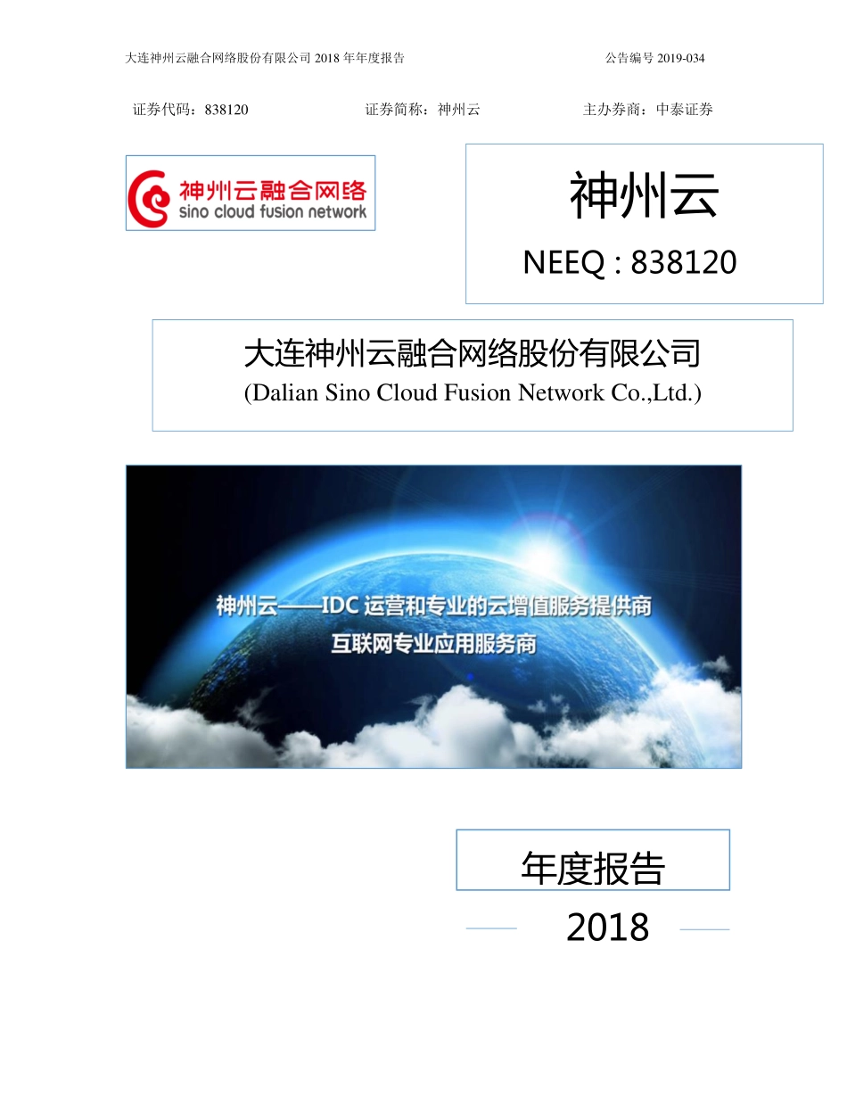 838120_2018_神州云_2018年年度报告_2019-06-10.pdf_第1页