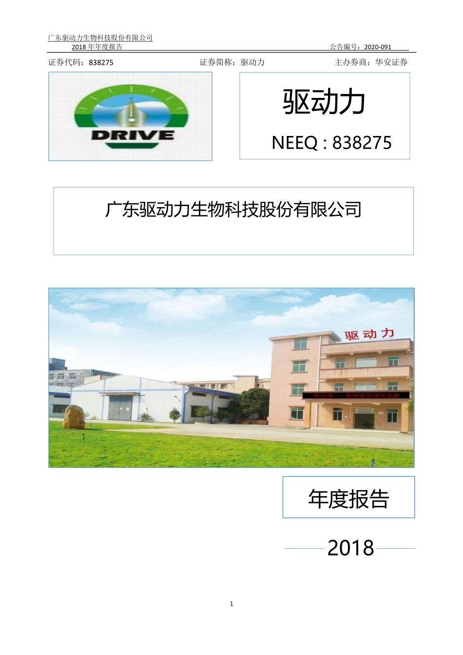 838275_2018_驱动力_2018年年度报告_2020-08-06.pdf_第1页