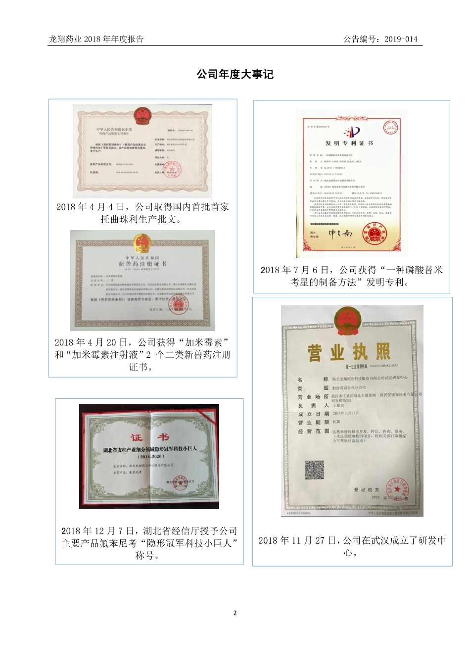 871082_2018_龙翔药业_2018年年度报告_2019-04-17.pdf_第2页