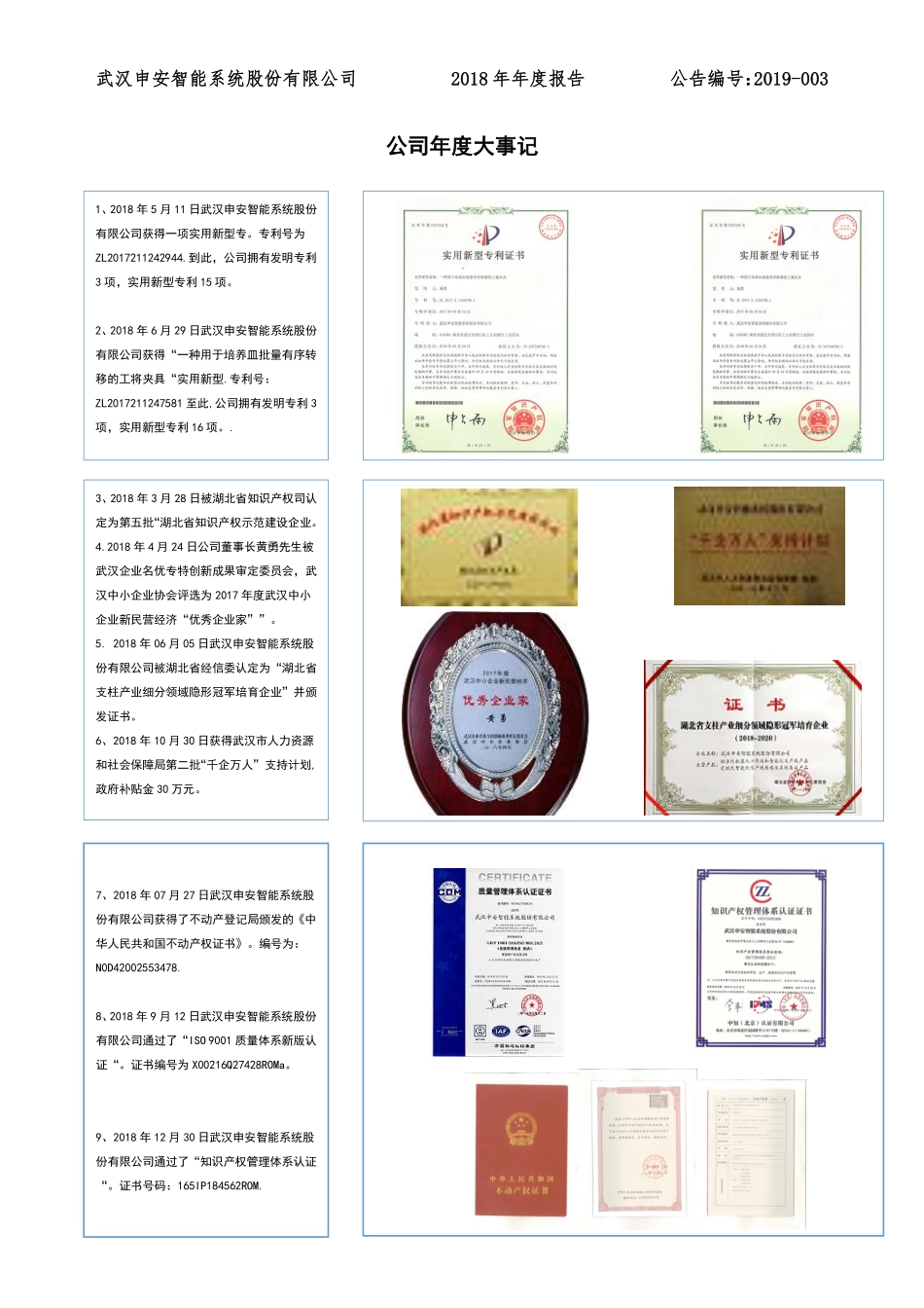 871718_2018_申安智能_2018年年度报告_2019-04-21.pdf_第2页