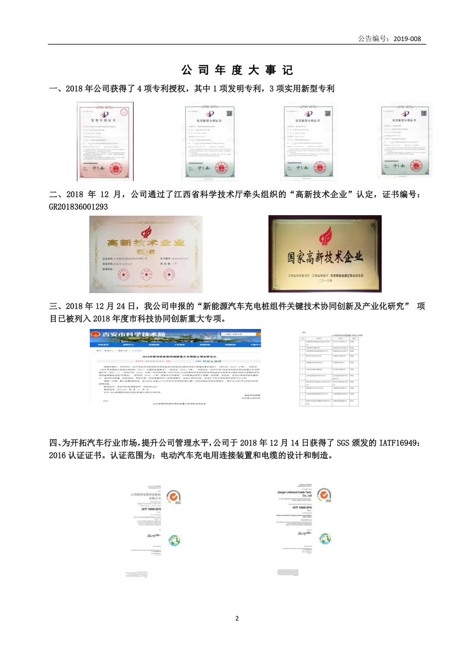 871701_2018_联创电缆_2018年年度报告_2019-04-09.pdf_第2页