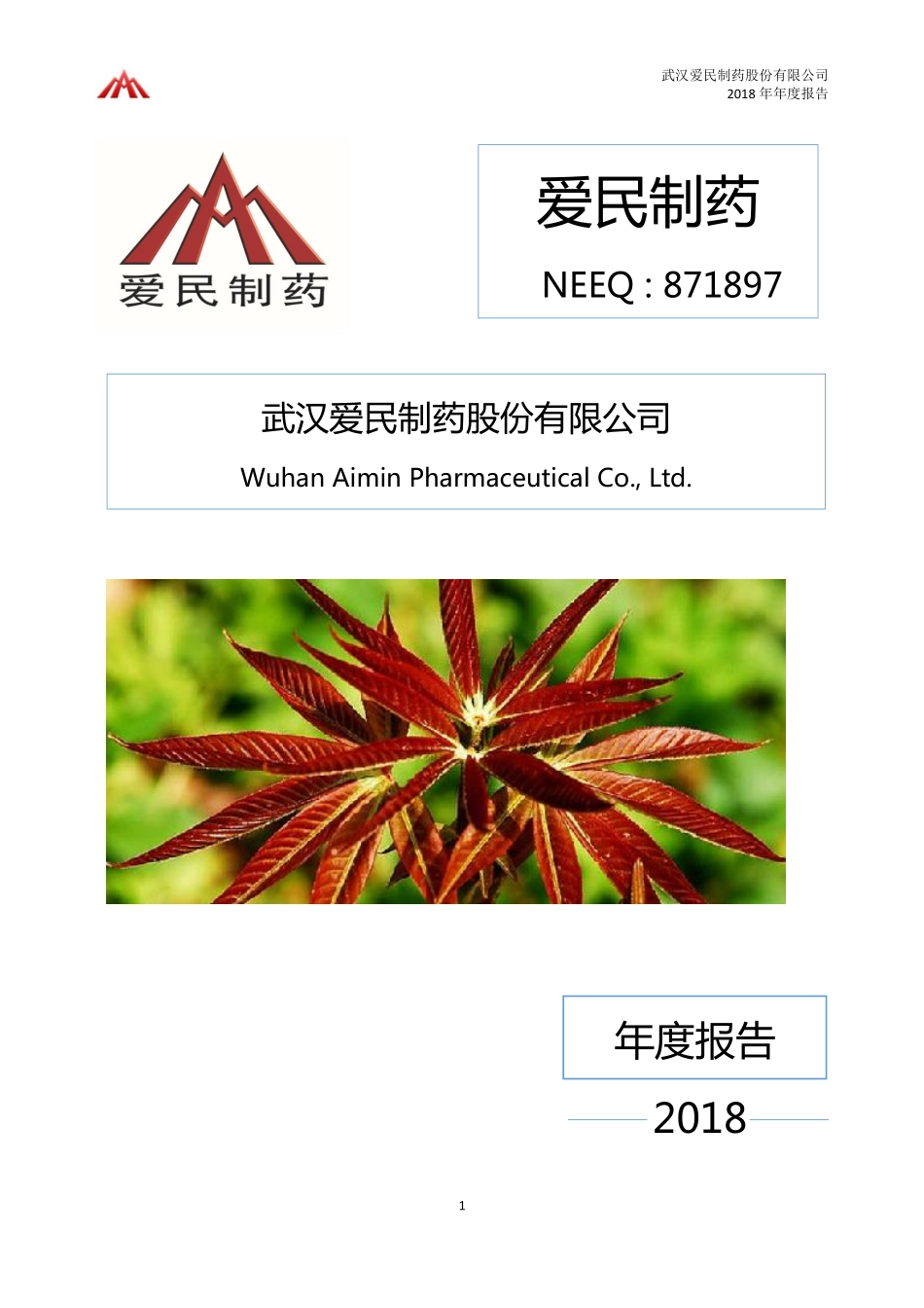 871897_2018_爱民制药_2018年年度报告_2019-04-22.pdf_第1页