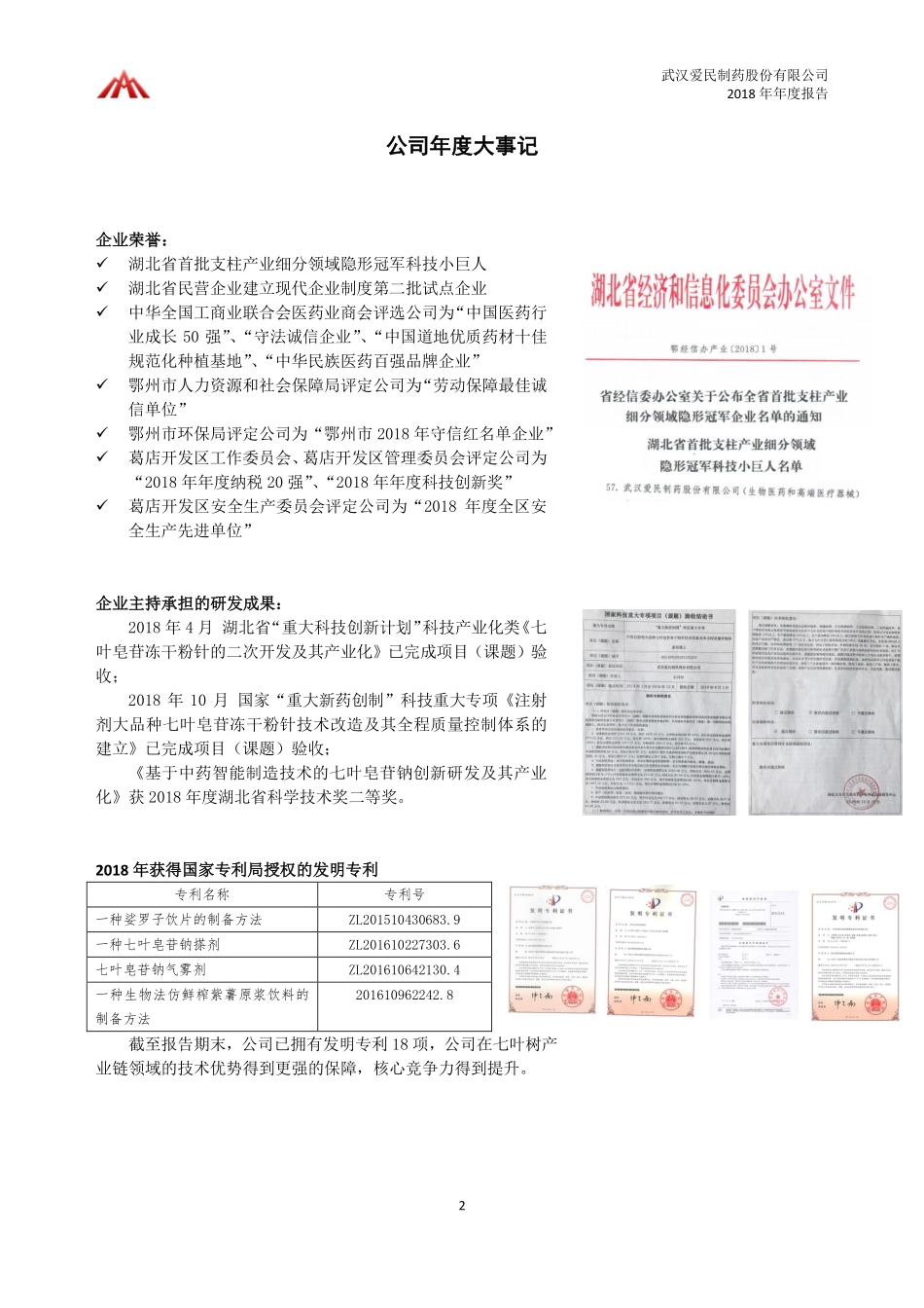 871897_2018_爱民制药_2018年年度报告_2019-04-22.pdf_第2页