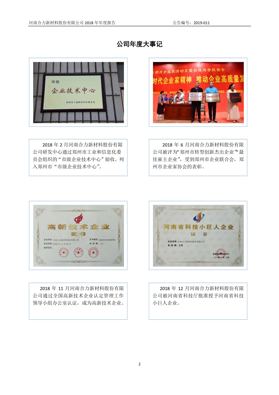870125_2018_合力新材_2018年年度报告_2019-04-18.pdf_第2页