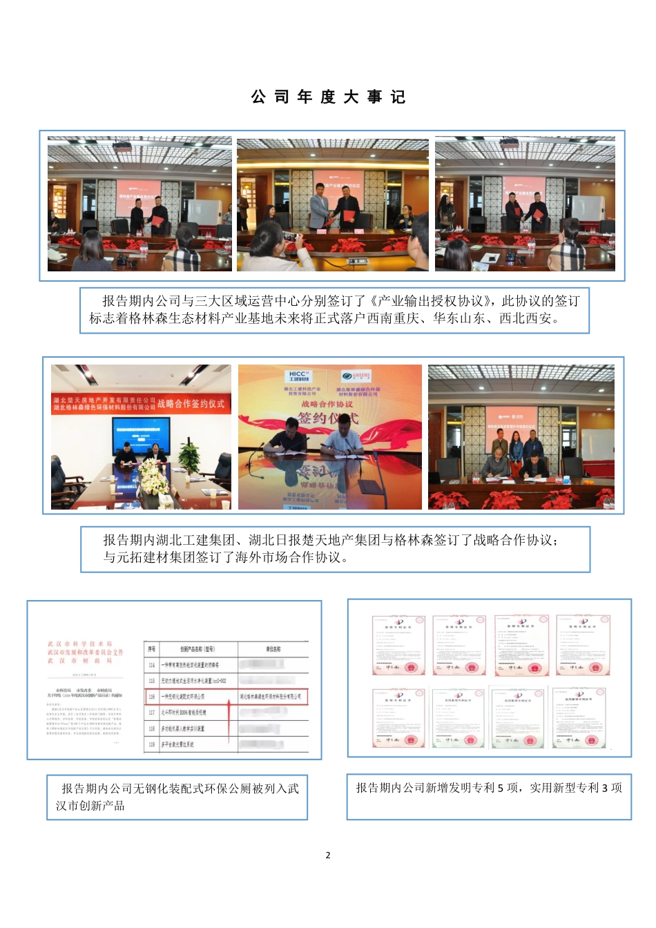 839868_2018_格林森_2018年年度报告_2019-04-28.pdf_第2页