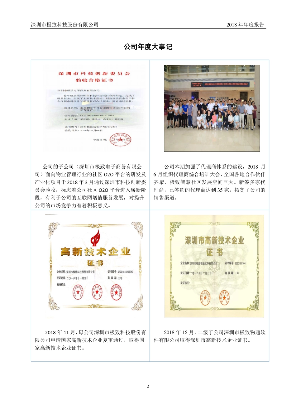 870116_2018_极致科技_2018年年度报告_2019-04-24.pdf_第2页