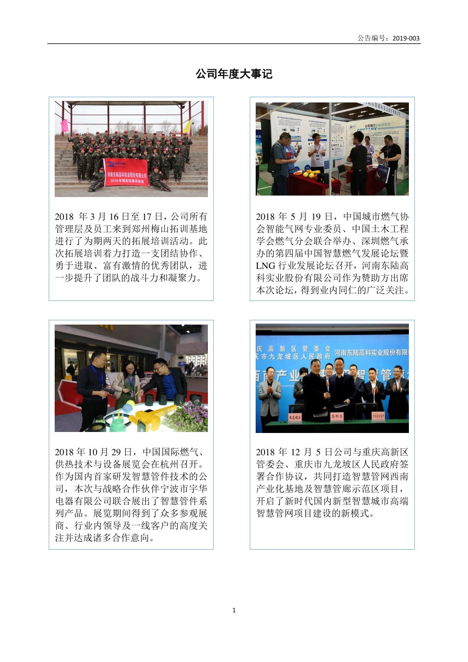 871253_2018_东陆高科_2018年年度报告_2019-04-18.pdf_第2页