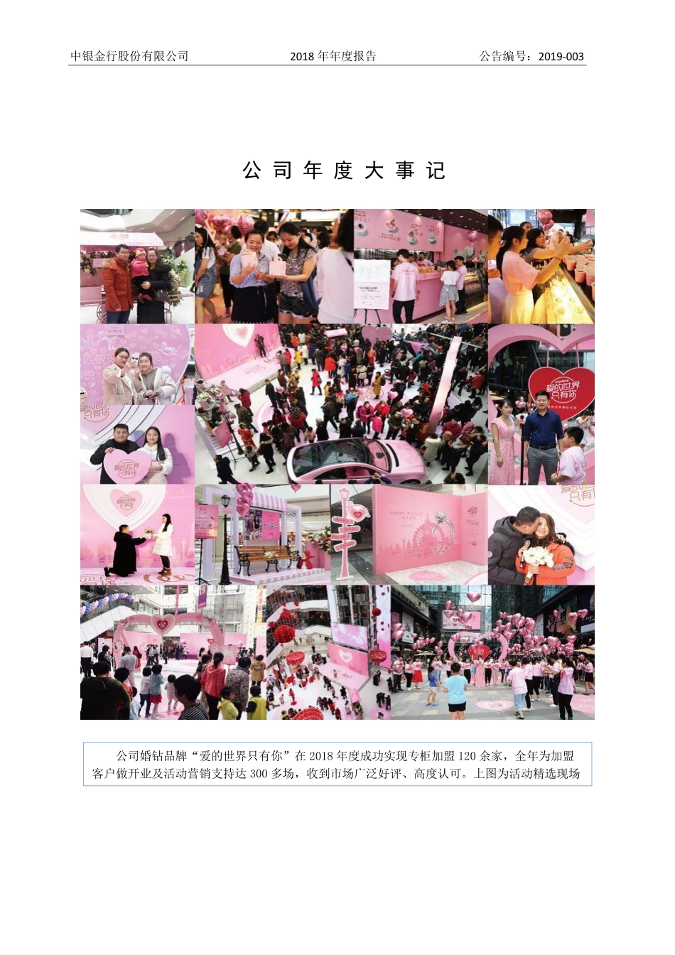 871846_2018_中银金行_2018年年度报告_2019-04-25.pdf_第2页