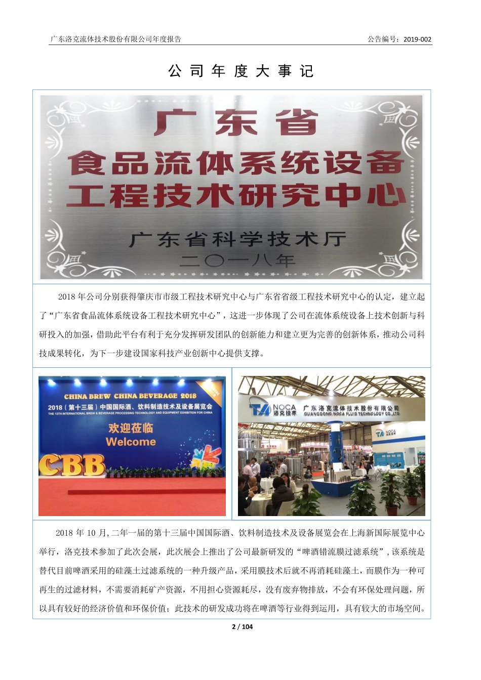 871752_2018_洛克技术_2018年年度报告_2019-04-11.pdf_第2页