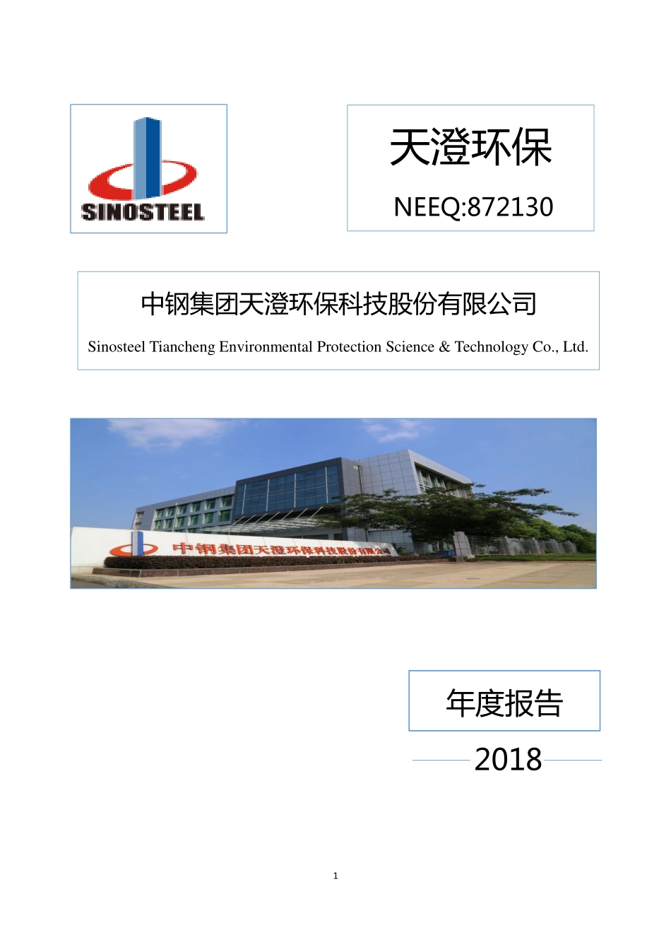 872130_2018_天澄环保_2018年年度报告_2019-03-28.pdf_第1页