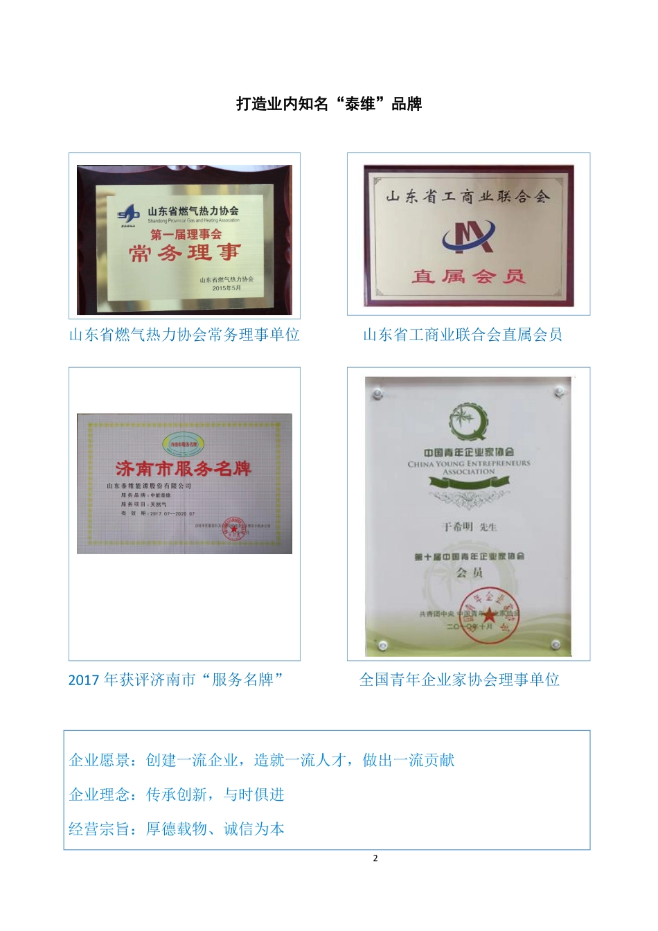 835567_2017_泰维能源_2017年年度报告_2018-04-01.pdf_第2页