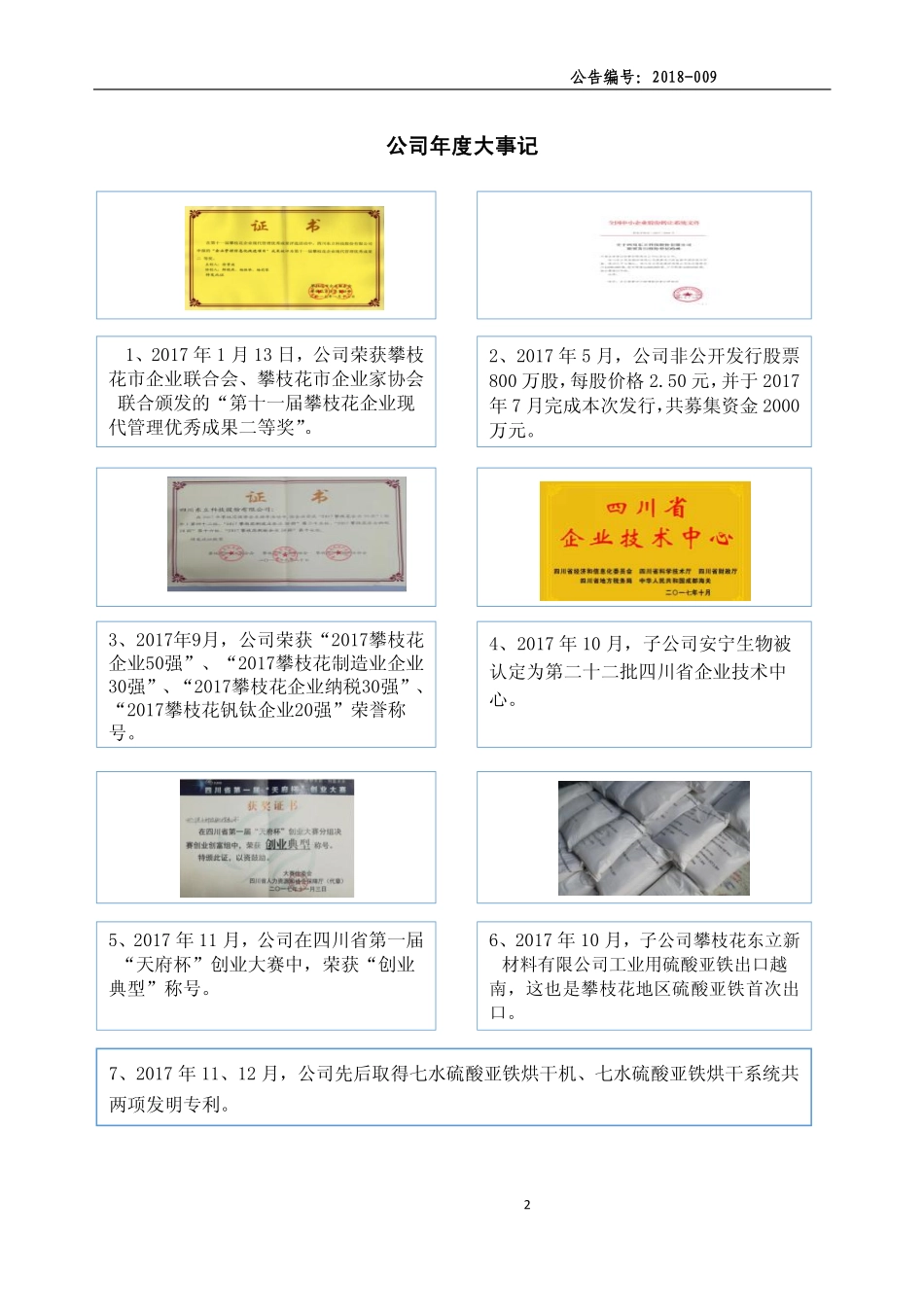 835193_2017_东立科技_2017年年度报告_2018-03-22.pdf_第2页